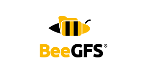 BeeGFS