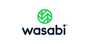 Wasabi Hot Cloud Storage