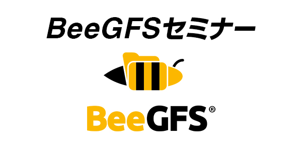 BeeGFS Seminer