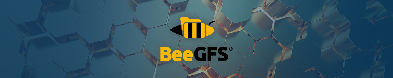 BeeGFS(parallel file system)