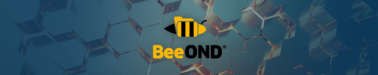 BeeOND(parallel file system)